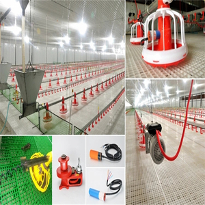 Full Automatic Chicken House Equipment for Broilers