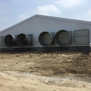 Prefabricated Galvanized Steel Structure Poultry Shed