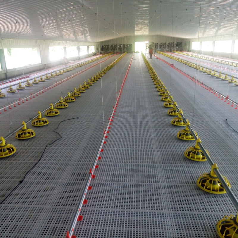 Light Steel Structure Broiler Chicken Shed 