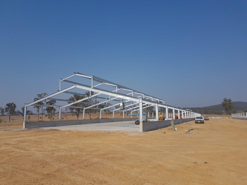 Galvanized steel frame pig farm