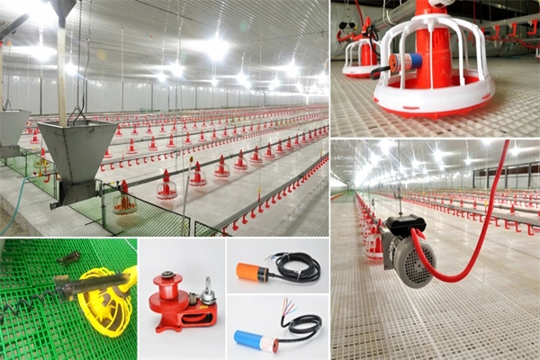 Full-Automatic-Chicken-Poultry-House-Farm-Feeding-Equipment-for-Broiler-Breeder-Layer.webp (3)