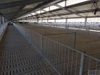 Prefabricated Galvanized Steel Structure Pig Farm