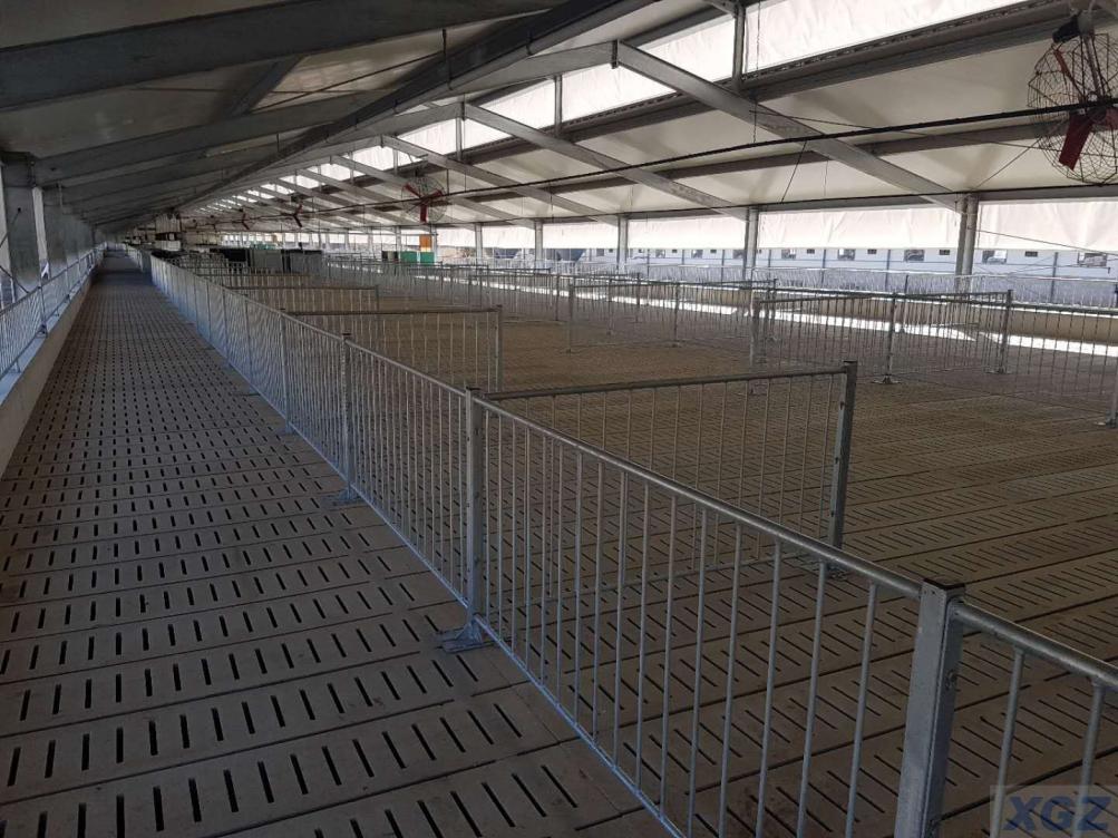 Prefabricated Galvanized Steel Structure Pig Farm