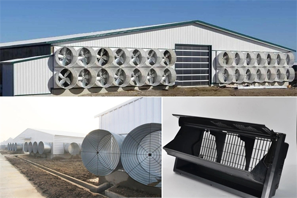 Full-Automatic-Chicken-Poultry-House-Farm-Feeding-Equipment-for-Broiler-Breeder-Layer.webp (5)