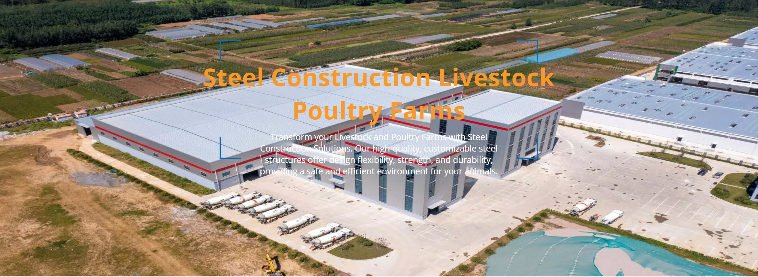 Steel Construction Livestock Poultry Farms