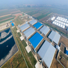 Light Steel Structure Pig Farm with PU Sandwich Panel