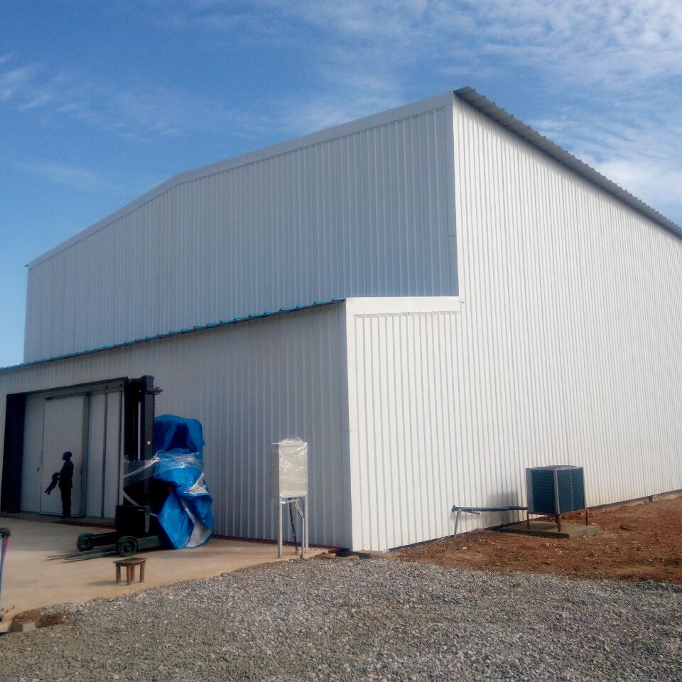 Prefabricated Steel Structure Cold Storage Building 