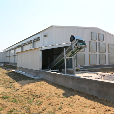 Steel Structure Layer House Construction