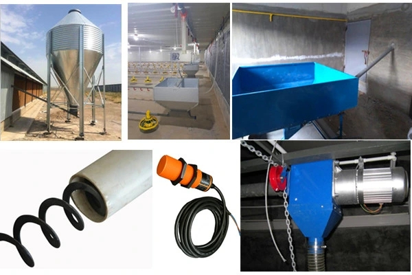 CE-ISO-Approved-Low-Cost-Chicken-Broiler-Poultry-Shed-Farm-Equipment-Design.webp